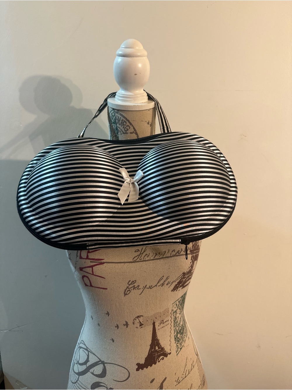 Black and White Striped Women's Novelty Bra Travel Case